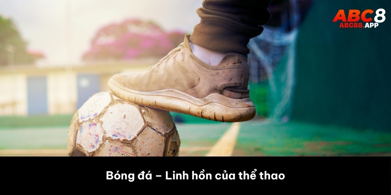 Bóng đá – Linh hồn của thể thao