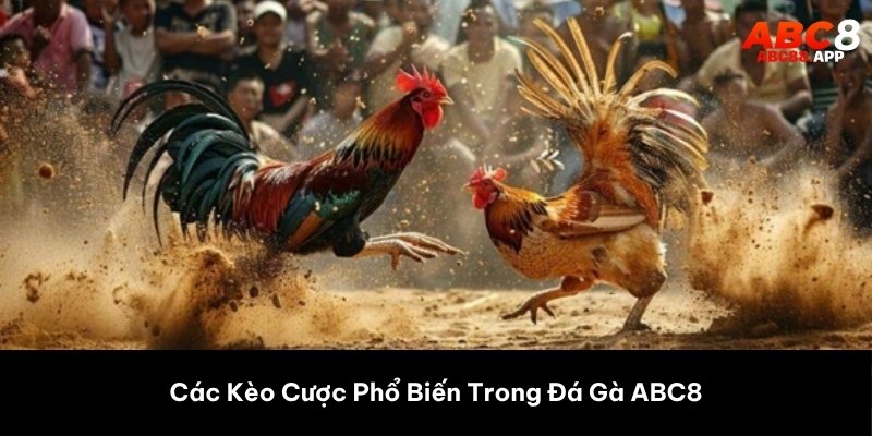 Các Kèo Cược Phổ Biến Trong Đá Gà