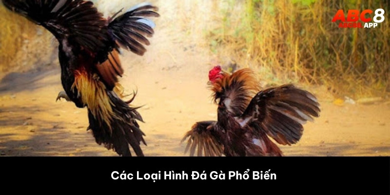 Các Loại Hình Đá Gà Phổ Biến
