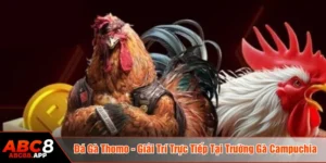 Đá gà thomo
