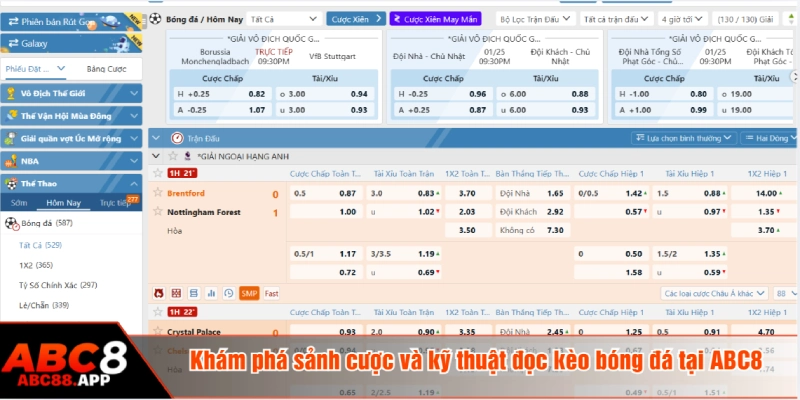 Giao diện hiển thị dễ theo dõi trên cả máy tính và điện thoại
