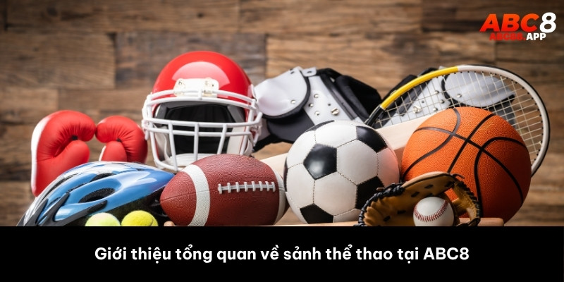 Giới thiệu tổng quan về sảnh thể thao nền tảng