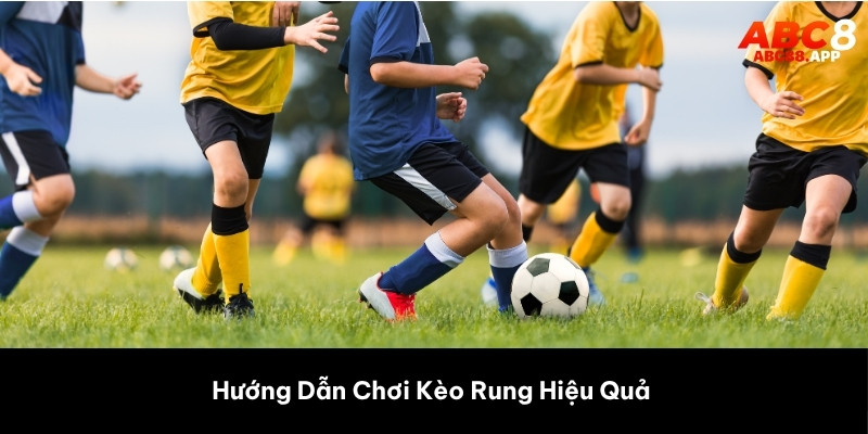 Hướng dẫn chơi kèo đá rung hiệu quả