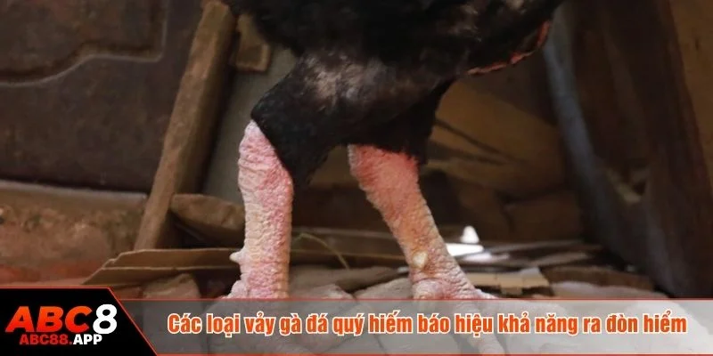 Mỗi loại vảy có đặc điểm riêng