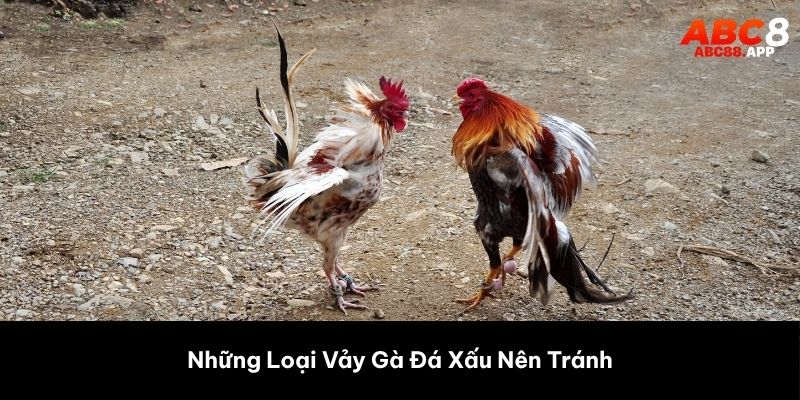 Những Loại Vảy Gà Xấu Nên Tránh