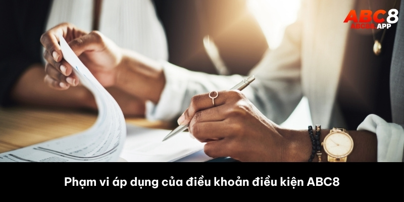 Phạm vi áp dụng của điều khoản điều kiện ABC8
