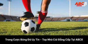 trang cược bóng đá