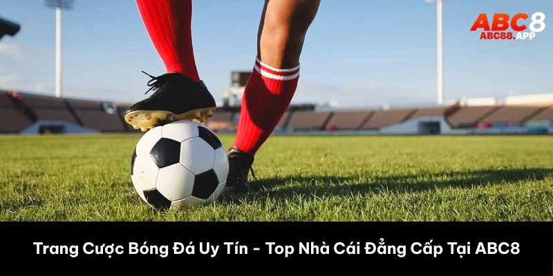 trang cược bóng đá