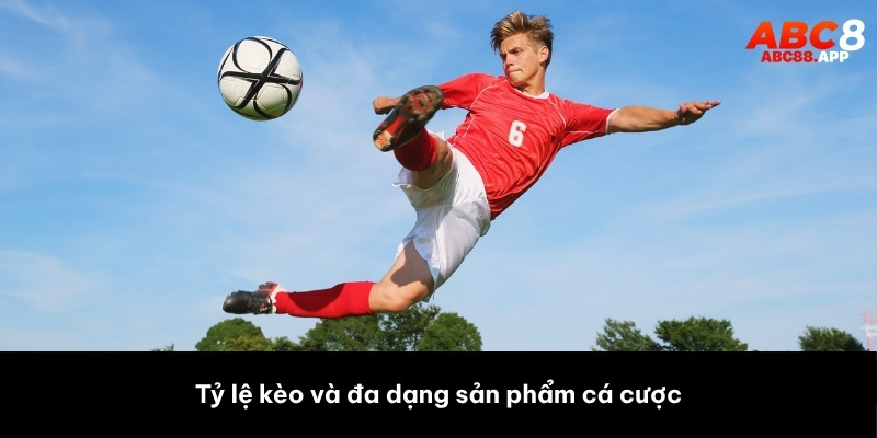 Tỷ lệ kèo và đa dạng sản phẩm cá cược