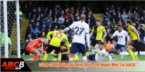 cách cá độ bóng đá