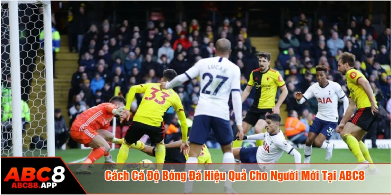 cách cá độ bóng đá