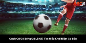 Cách Cá Độ Bóng Đá Là Gì? Tìm Hiểu Khái Niệm Cơ Bản