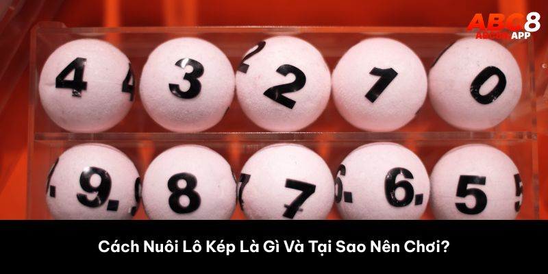 Cách Nuôi Lô Kép Là Gì Và Tại Sao Nên Chơi? 