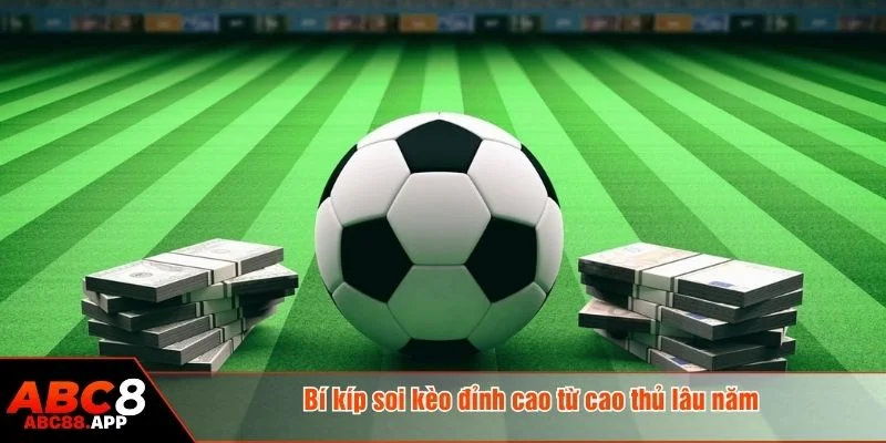 Cần dựa trên phân tích cá nhân, không chạy theo xu hướng