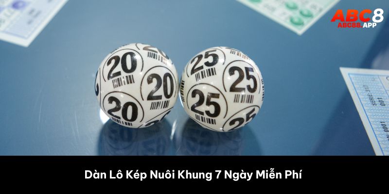 Dàn Lô Kép Nuôi Khung 7 Ngày Miễn Phí