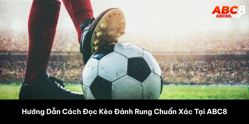 Hướng Dẫn Cách Đọc Kèo Đánh Rung Chuẩn Xác Tại ABC8