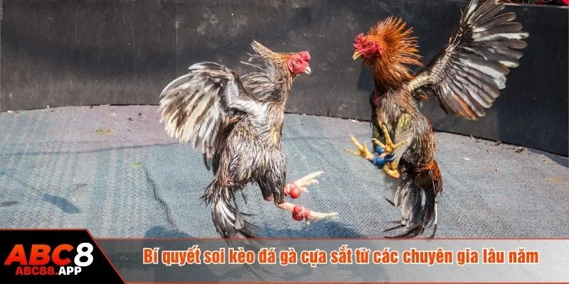 Người chơi nên hình thành thói quen quan sát và phân tích trận đấu