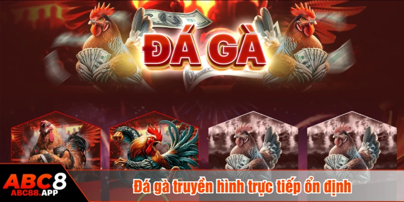 Đá gà truyền hình trực tiếp ổn định