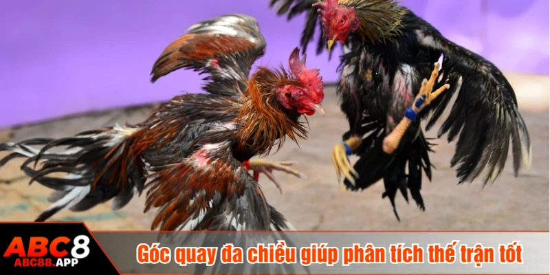 Góc quay đa chiều giúp phân tích thế trận tốt