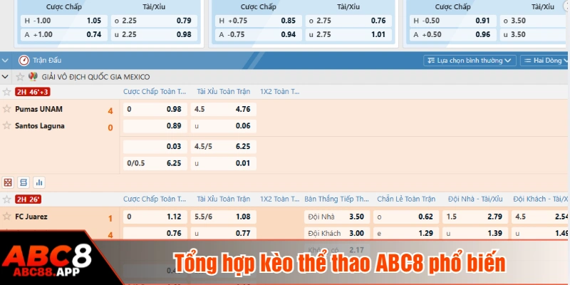 Tổng hợp kèo thể thao ABC8 phổ biến