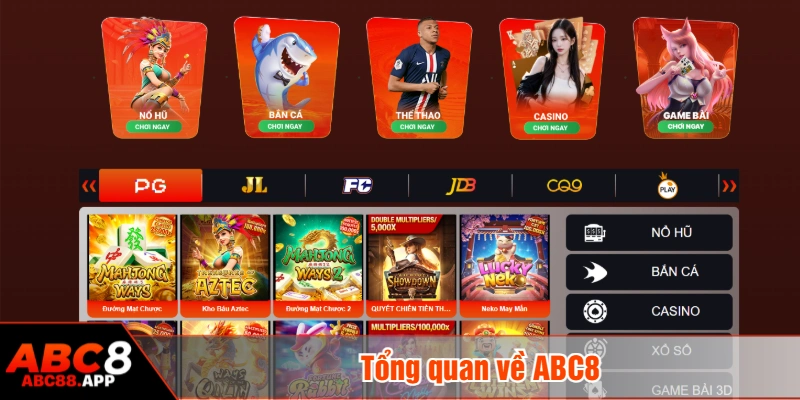 Tổng quan về ABC8