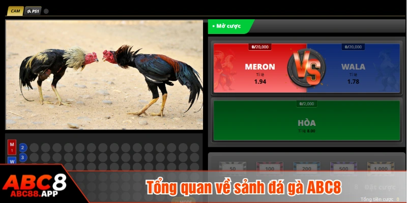 Tổng quan về sảnh đá gà ABC8